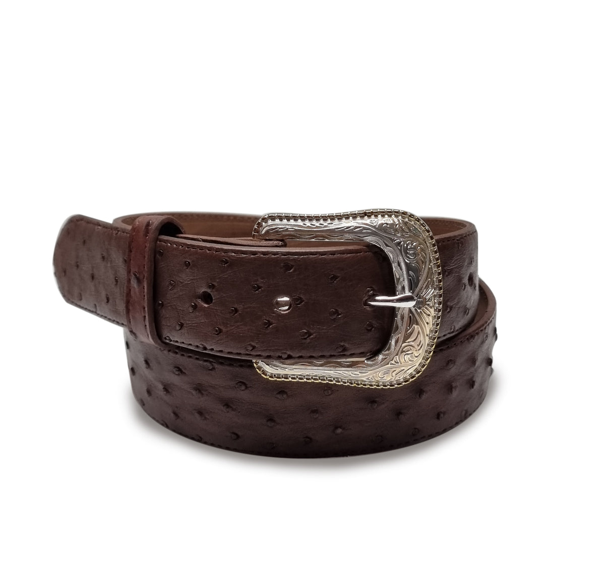 AVESTRUZ TABACO ESTILO RODEO BULL