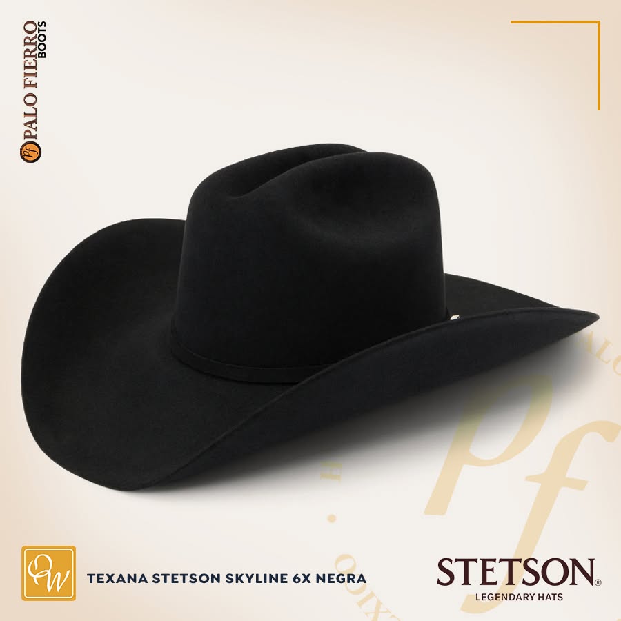 TEXANA STETSON SKYLINE 6X NEGRA