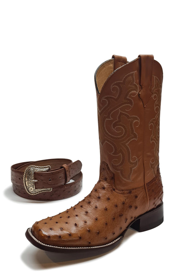AVESTRUZ BRANDY ESTILO RODEO BULL