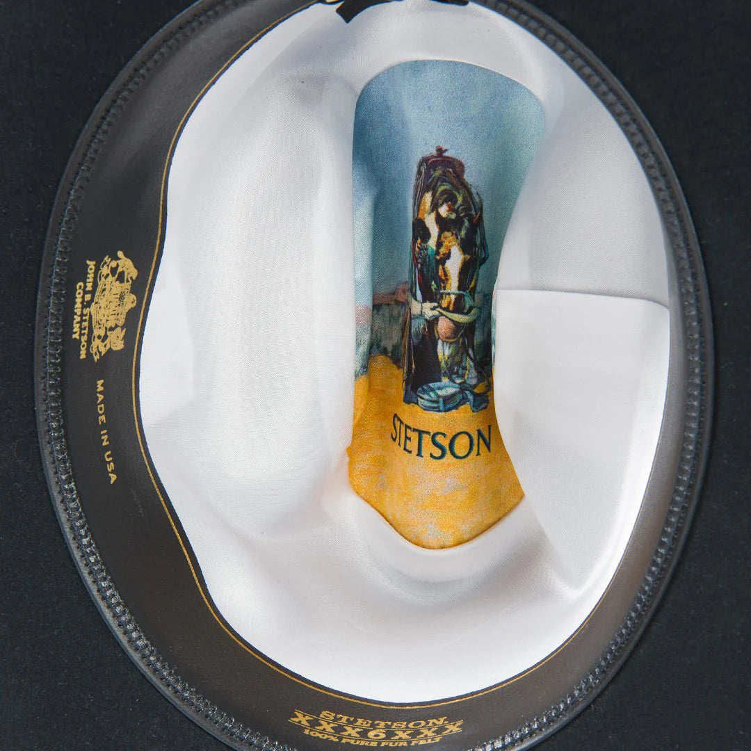 TEXANA STETSON SKYLINE 6X NEGRA